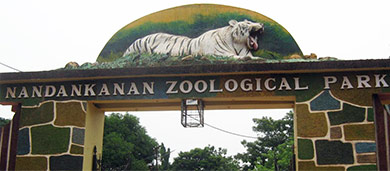 Nandakanan Zoo